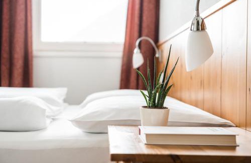 Sand in Taufers Apartment | Apartments Mühlegg