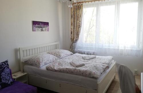 Marianske Lazne Apartment | Apartments Meixner