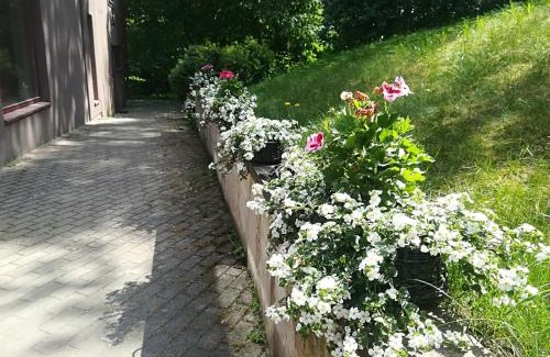 Zvejniekciems Apartment | Apartments Melnalkšņi