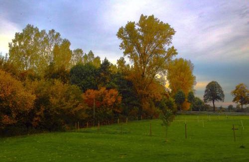 Xanten Apartment | Apartments Mester