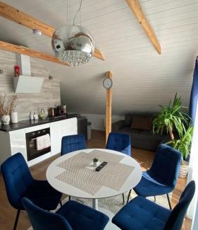 Druskininkai Apartment | Apartments MILENA
