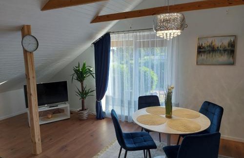 Druskininkai Apartment | Apartments MILENA