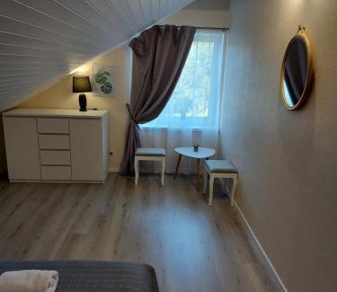 Druskininkai Apartment | Apartments MILENA