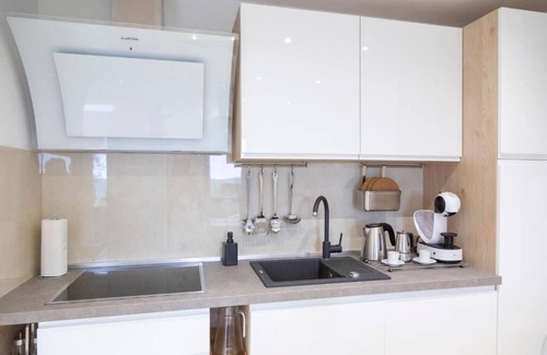 Secovlje Apartment | Apartments Milok