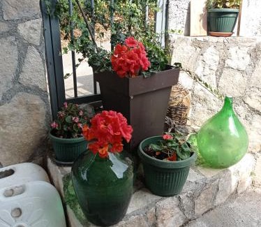 Karuc Apartment | Apartments Nino Skadar lake