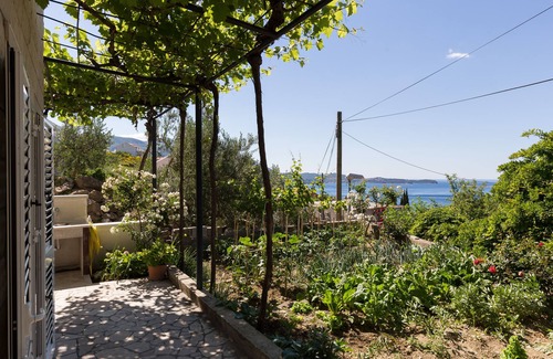 Brasina Apartment | Apartments Olive - One Bedroom Apartment with Terrace and Partial Sea View - Popolica 50