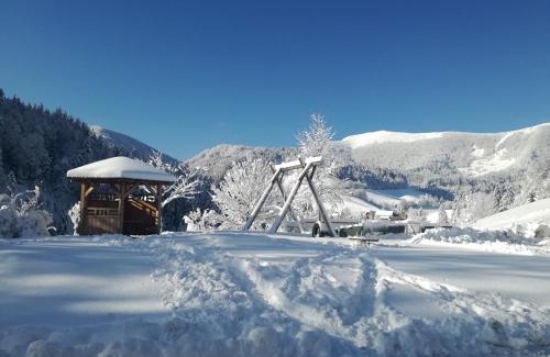 Zgornja Sorica Apartment | Apartments Peternelj