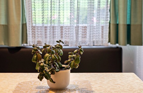 Rasun di Sopra House | Apartments Residence Montana Typ B4 with Mountain View, Wi-Fi & Balcony