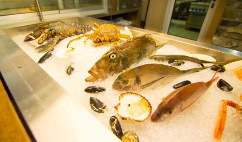 Cesarica Apartment | Apartments Ribarica