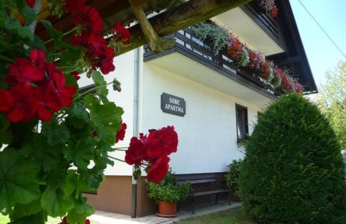 Ribcev Laz Apartment | Apartments & Rooms Malej