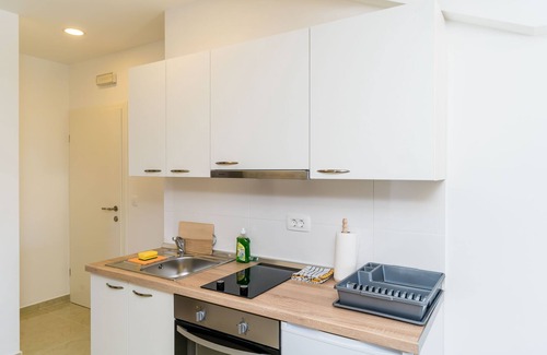 Zvekovica Apartment | Apartments Šmanjak - One Bedroom Apartment with City View