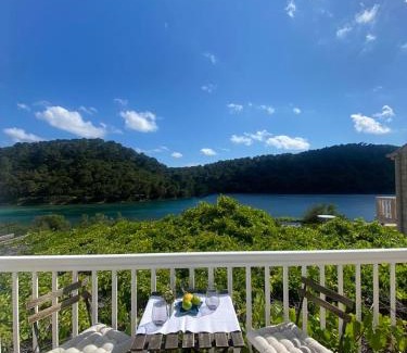 Govedari Apartment | Apartments Soline - National park Mljet