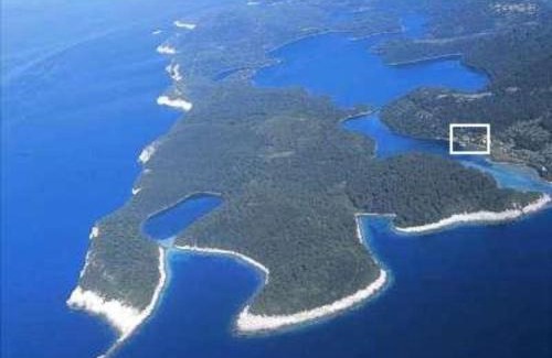 Govedari Apartment | Apartments Soline - National park Mljet
