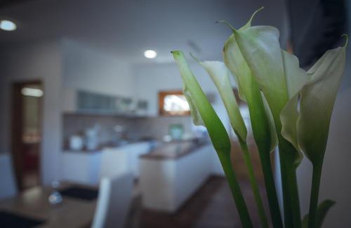 Lukovo Apartment | Apartments Stipe