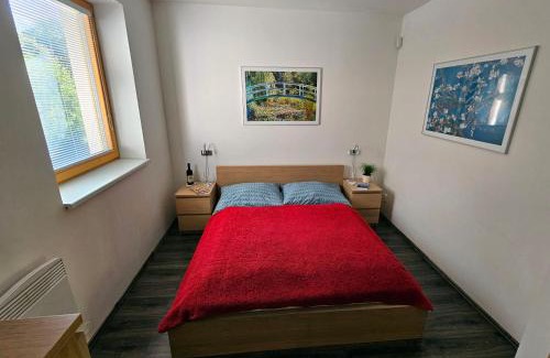Loucna nad Desnou Apartment | Apartments Světluška