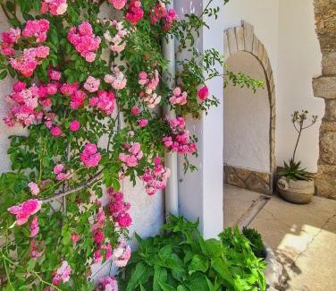 Mosenice Apartment | Apartments Sveti Ivan