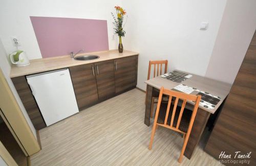 Backi Petrovac Apartment | Apartments Svetlica