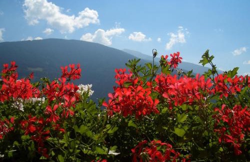 Naz Apartment | Apartments Tauberhof