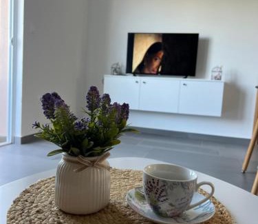 Prijevor Apartment | Apartments Tijana