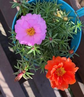 Otocac Apartment | Apartments Travel