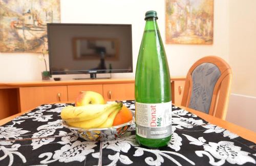 Rogaska Slatina Apartment | Apartments Vektor Vila Golf