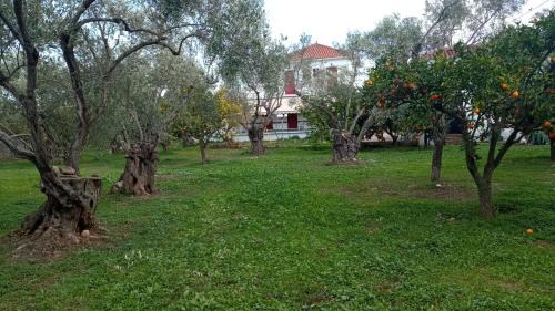 Loutropoli Thermis Apartment | Apartments Villa Myrto