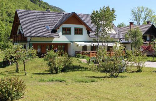 Polje Apartment | Apartments Villa Dov