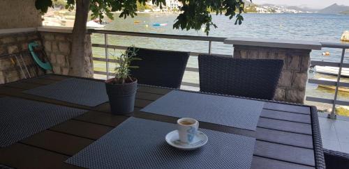 Duboka Apartment | Apartments Villa Plava