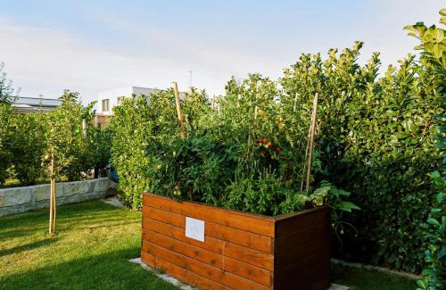 Retz Apartment | Apartments Vineyard19