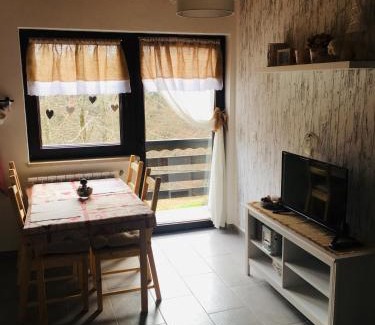 Zelin Mrzlovodicki Apartment | Apartments Vjeverica