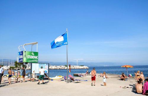 Icici Apartment | Apartments with a parking space Icici, Opatija - 7761
