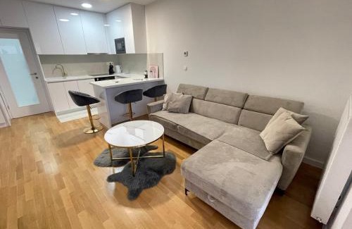 Zagreb Apartment | Apartments with parking space Zagreb - 22577