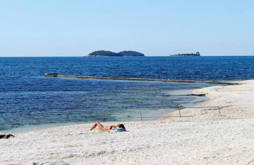 Borik Apartment | Apartments with parking space Rovinj - 3393