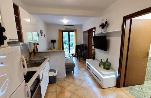 Sveti Stefan Apartment | Apartments Zezelj