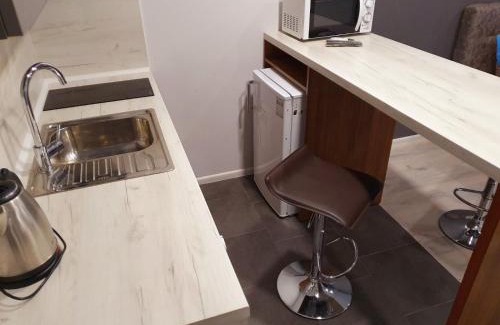 Uzhhorod Apartment | Apartservice in Uzhgorod s39