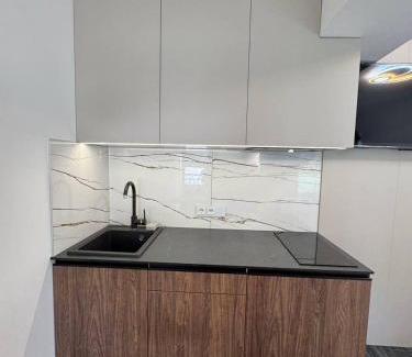 Shevchenkivs'kyi District Apartment | APETIKO APARTMENTs