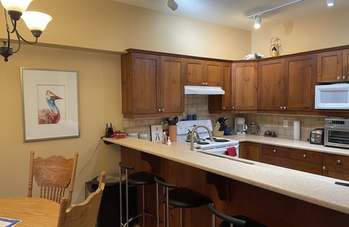Okanagan-Similkameen Condo | Apex Mountain- Whitehaven Chalet