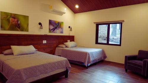 Gracias Ski Chalet | Apino Lodge del Celaque