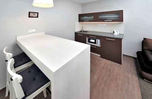 Vysoke Tatry Apartment | Aplend Apartmány Kamzík