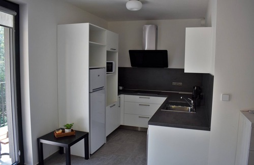Liberec Apartment | APLUS PARK Apartments No.6