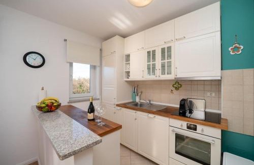 Đuba Apartment | App Nevis