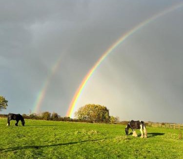 Kilnwick Apartment | Appaloosa suite with amazing views of stud farm.