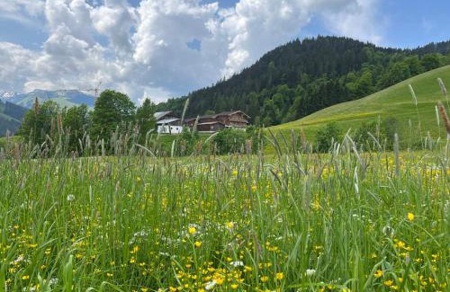 Hinterthal Apartment | Appartement zur schlafenden Jungfrau
