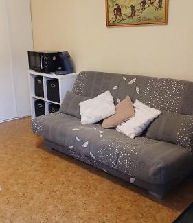 Vielle-Aure Apartment | Appar T2 vue montagne Rez de chaussée