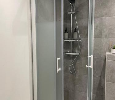Saint-Symphorien-d'Ozon Apartment | Apparemment T2 meublé 2bis