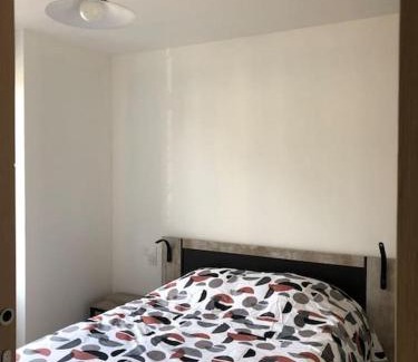 Vittel Apartment | Appart 34m2 rénové , lumineux