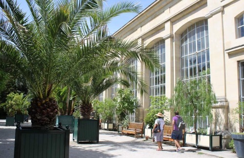 Saint-Jean Eudes Saint-Gilles Apartment | Appart Avec Jardin + SPA Nordique + Proche C.ville