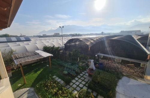 Santa Maria la Carita Apartment | APPARTAMENT ' IL GIARDINO '