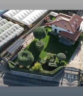 Santa Maria la Carita Apartment | APPARTAMENT ' IL GIARDINO '