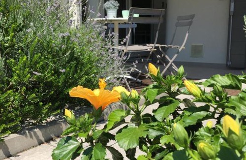Gradisca d'Isonzo Apartment | Appartamenti Antea
